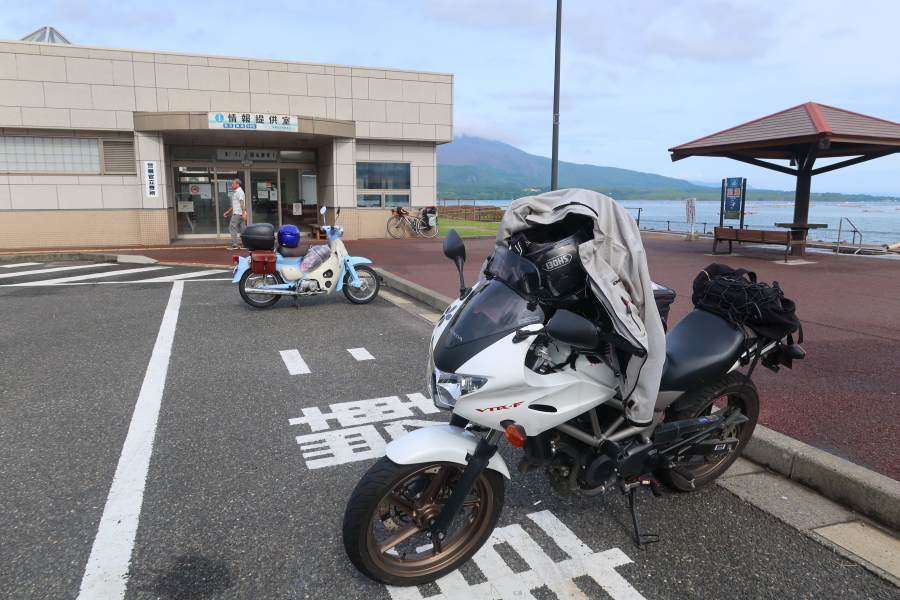 f:id:unyora-d:20190316141823j:plain