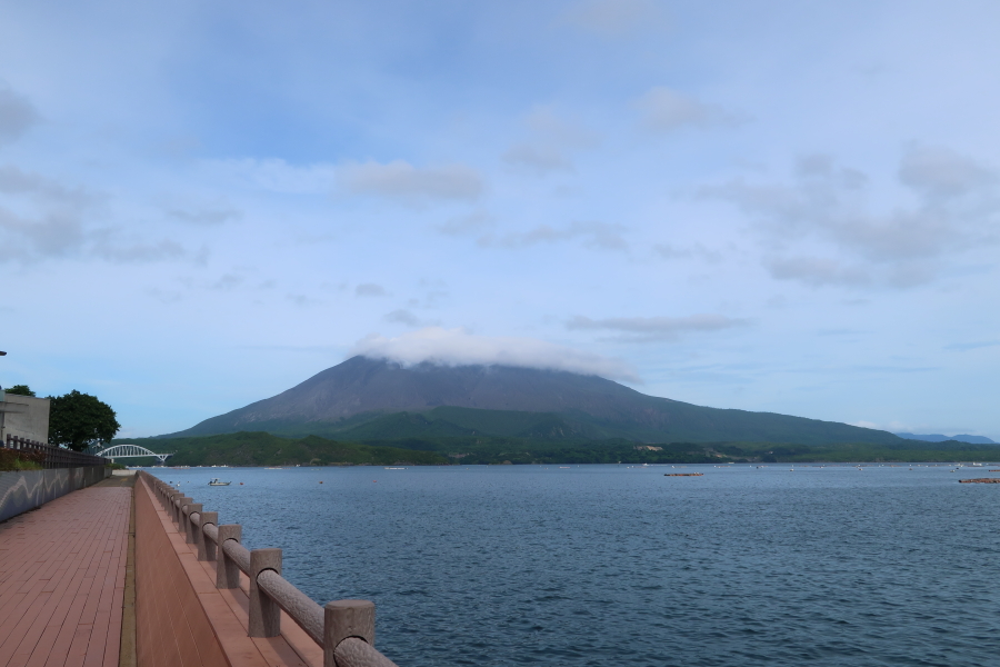 f:id:unyora-d:20190316141848j:plain