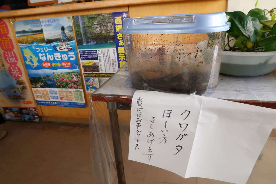 f:id:unyora-d:20190316141931j:plain