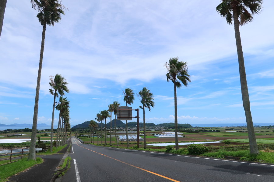 f:id:unyora-d:20190316142239j:plain