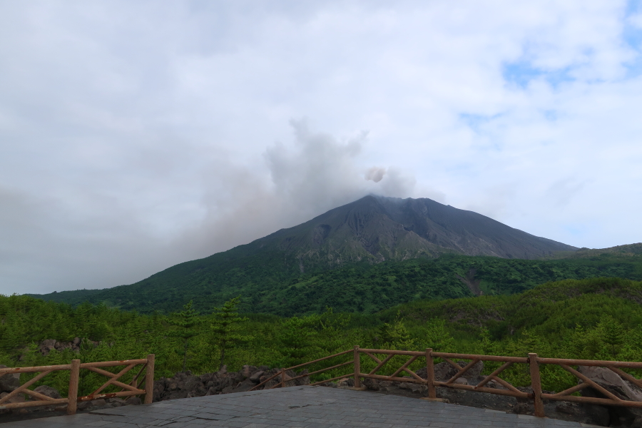 f:id:unyora-d:20190316183139j:plain