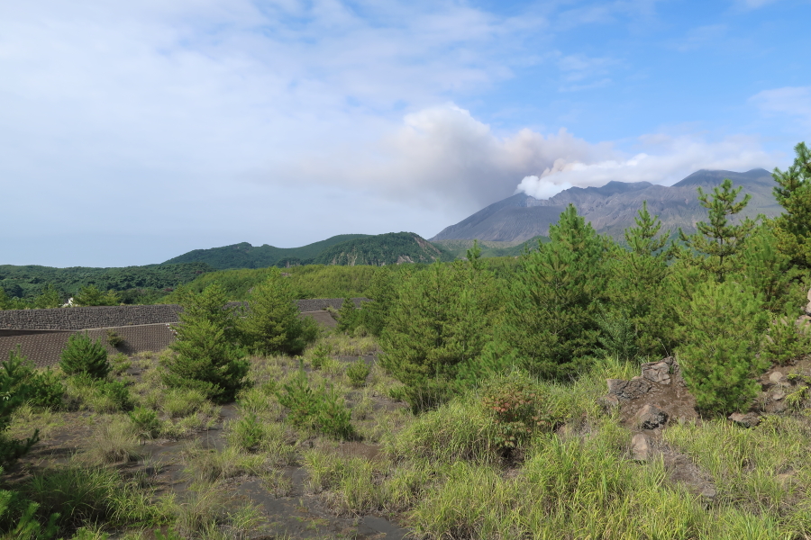 f:id:unyora-d:20190316183418j:plain