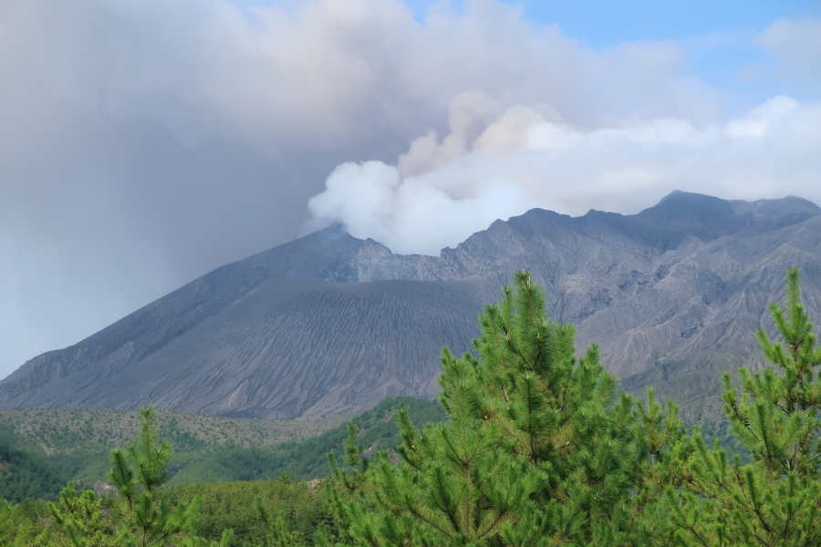 f:id:unyora-d:20190316183428j:plain