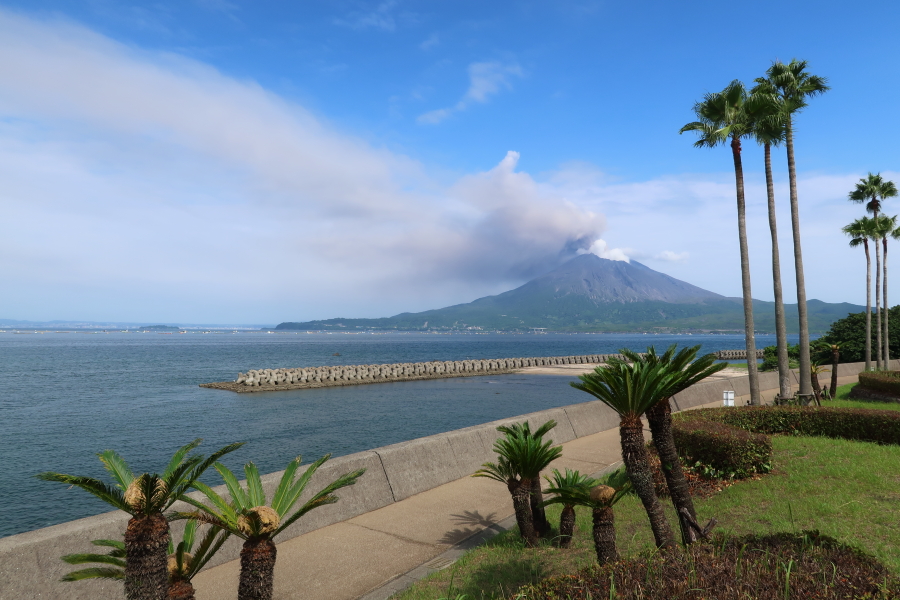 f:id:unyora-d:20190316183442j:plain