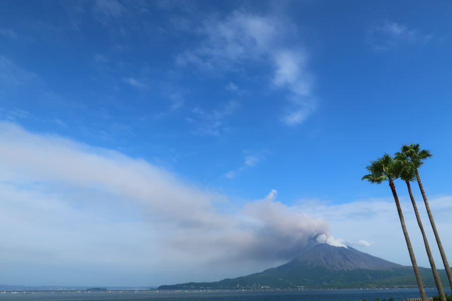 f:id:unyora-d:20190316183500j:plain