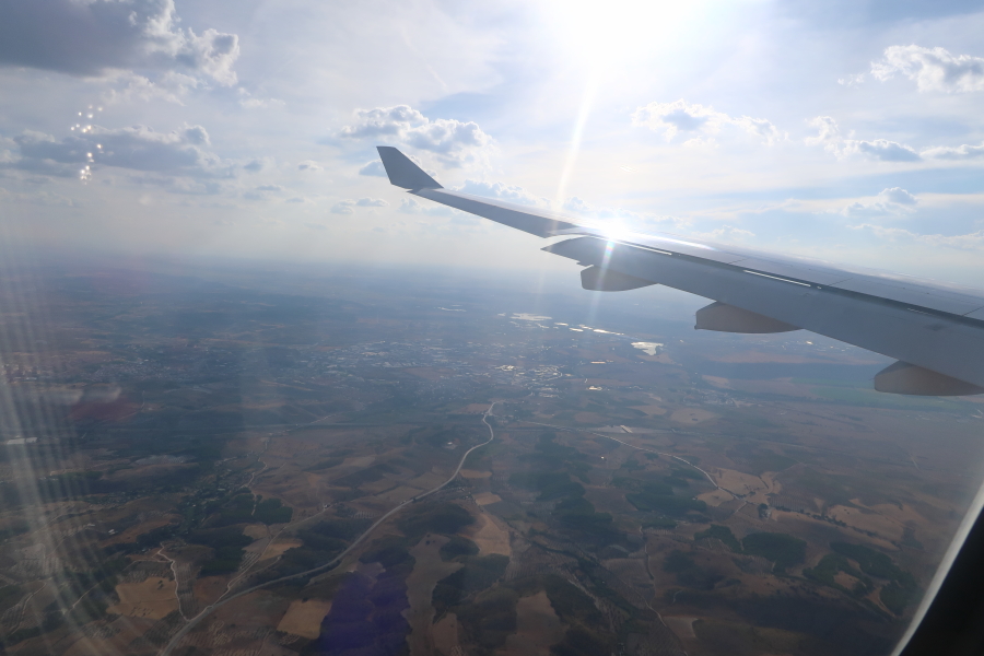 f:id:unyora-d:20190516215015j:plain