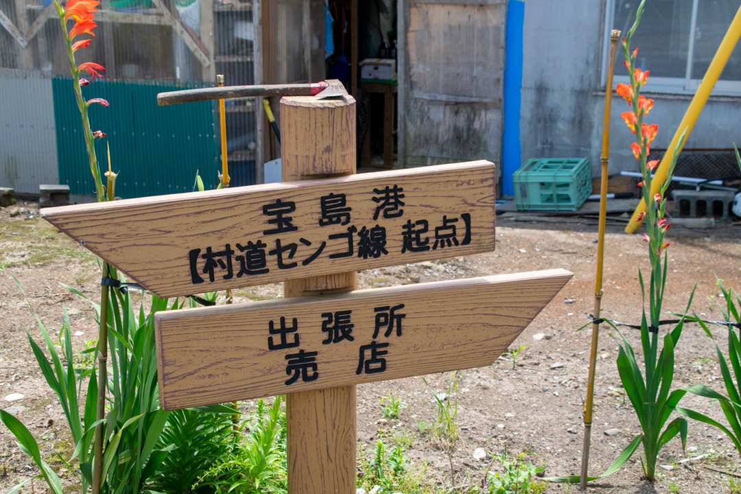 f:id:unyora-d:20190623132624j:plain