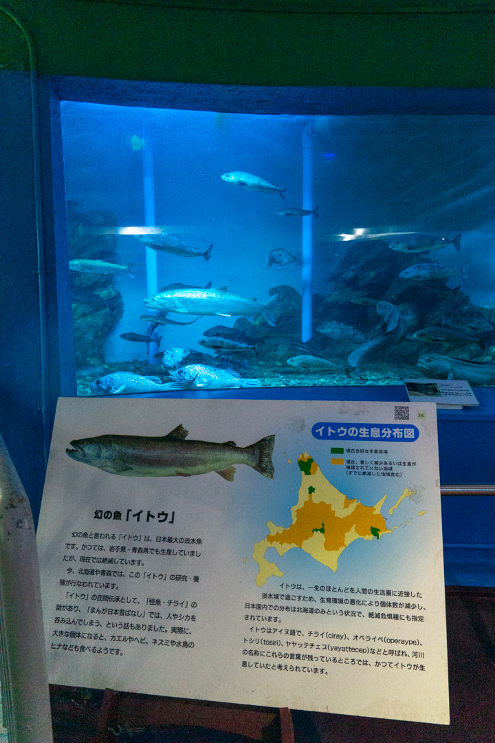 f:id:unyora-d:20190917115127j:plain
