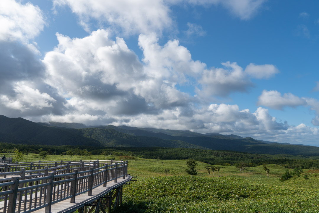 f:id:unyora-d:20190921083514j:plain