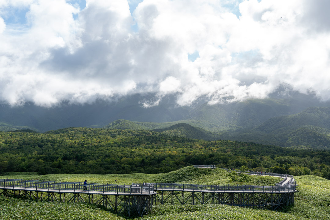f:id:unyora-d:20190921085122j:plain