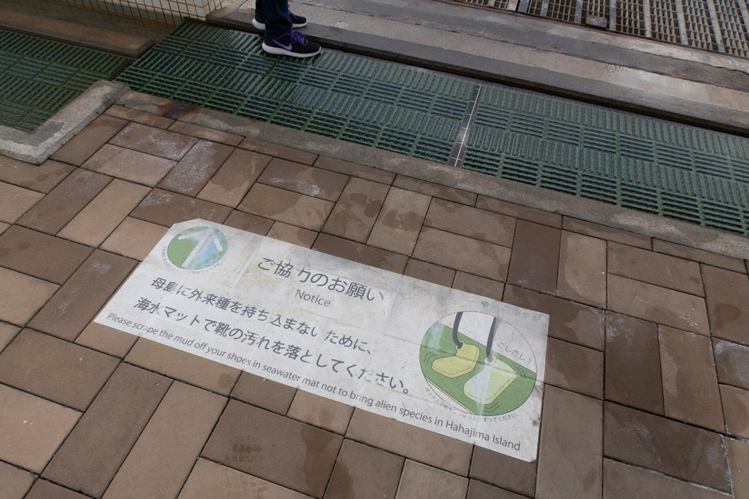 f:id:unyora-d:20191006171951j:plain