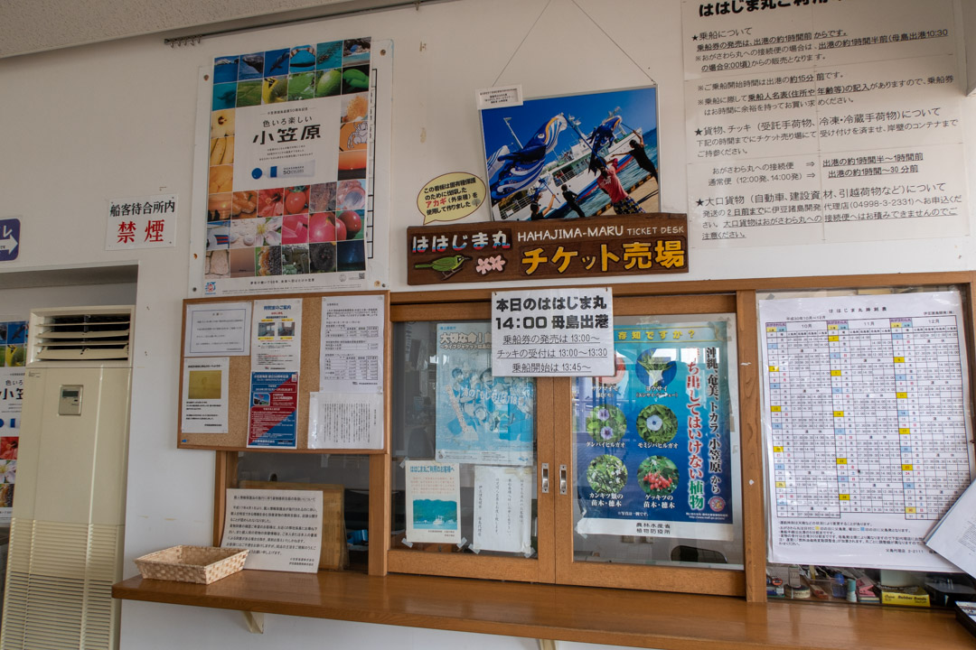 f:id:unyora-d:20191006175826j:plain