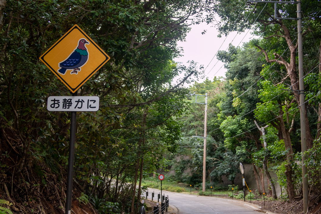 f:id:unyora-d:20191006175847j:plain