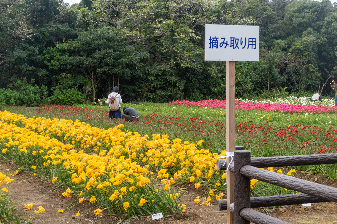 f:id:unyora-d:20191010000338j:plain
