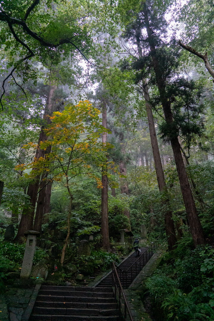f:id:unyora-d:20191022084429j:plain