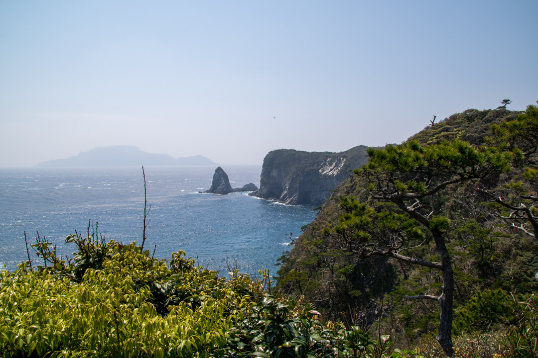 f:id:unyora-d:20191124105409j:plain