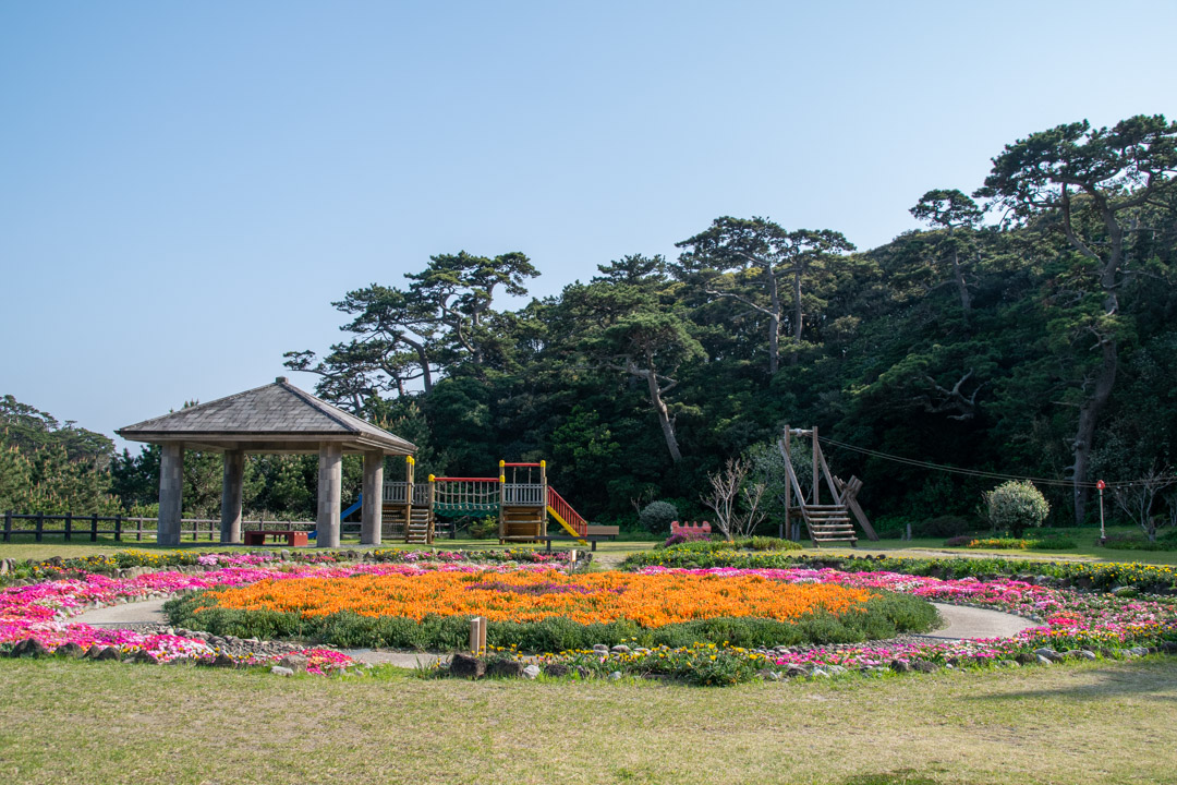 f:id:unyora-d:20191124110633j:plain