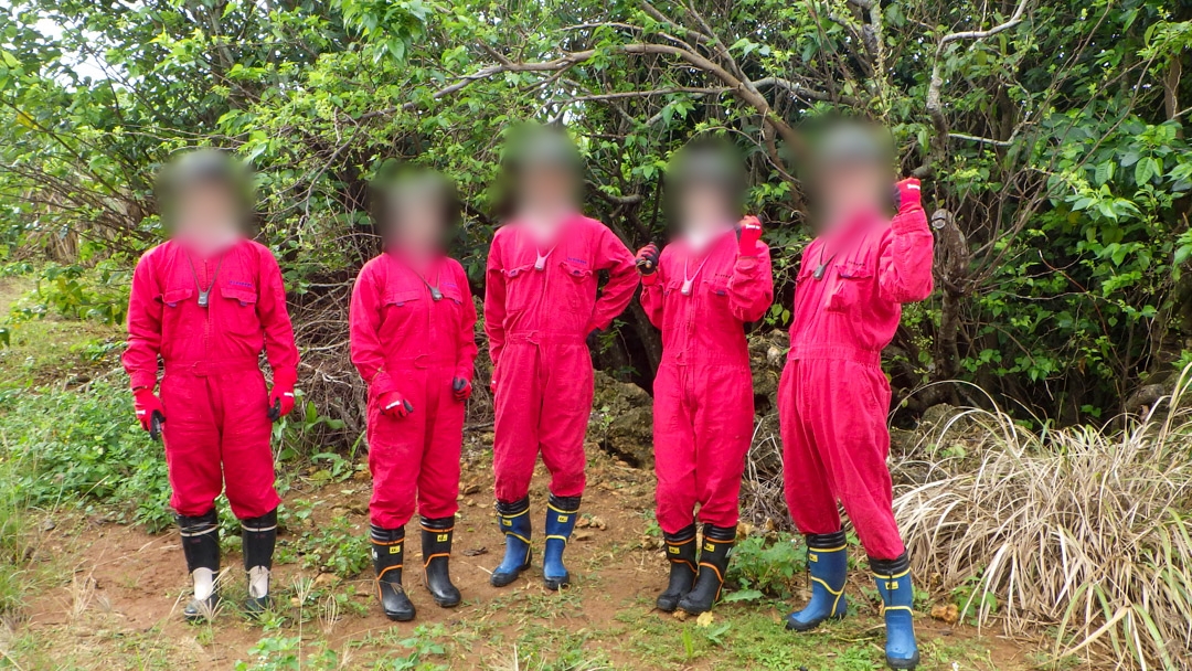 f:id:unyora-d:20200503221108j:plain f:id:unyora-d:20200503221108j:plain