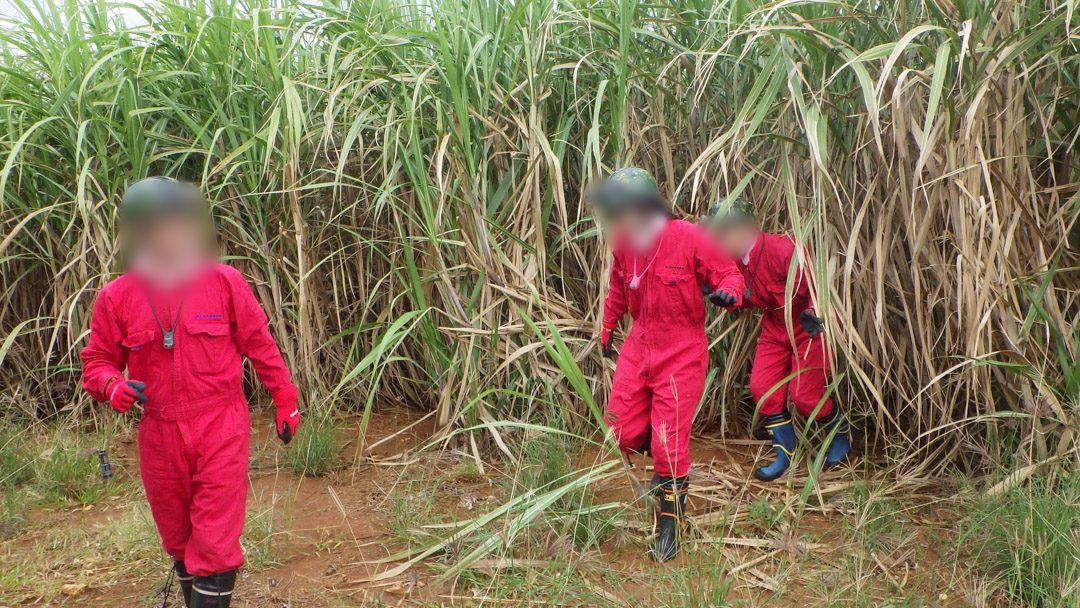 f:id:unyora-d:20200503221201j:plain f:id:unyora-d:20200503221201j:plain