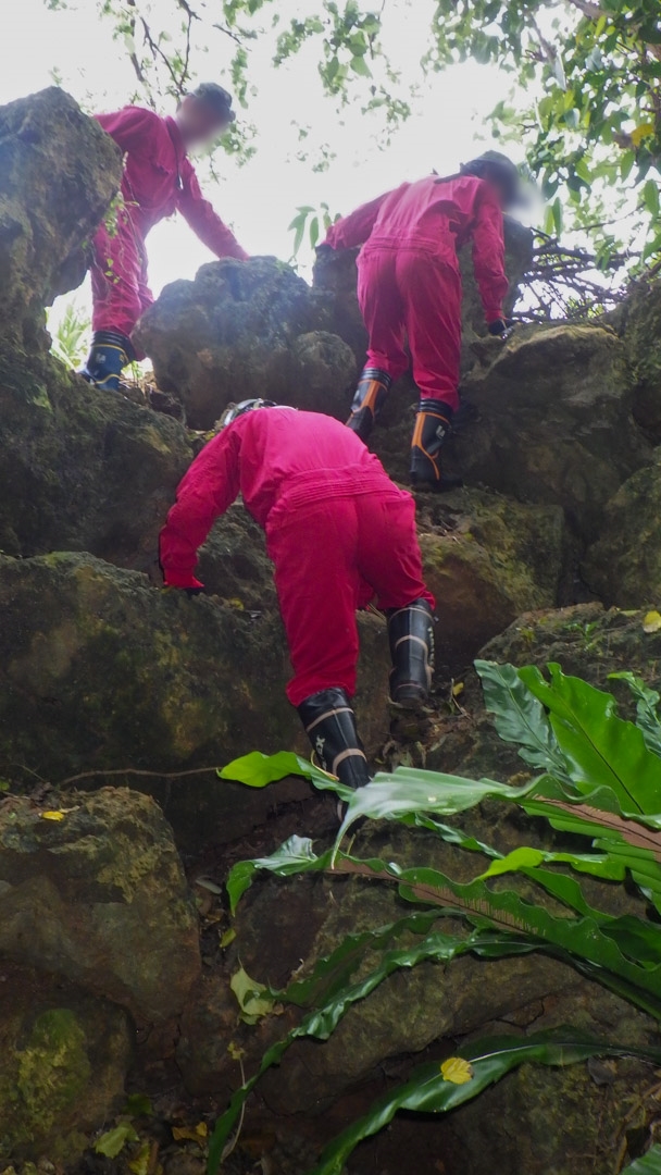 f:id:unyora-d:20200503221548j:plain f:id:unyora-d:20200503221548j:plain