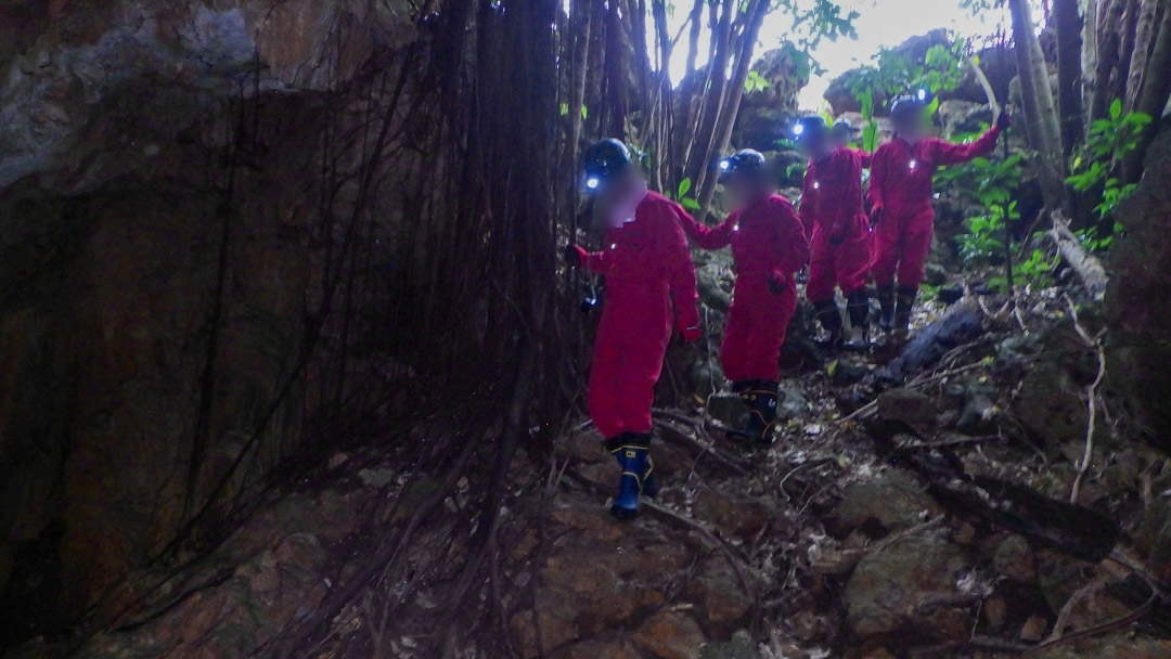 f:id:unyora-d:20200503221610j:plain f:id:unyora-d:20200503221610j:plain