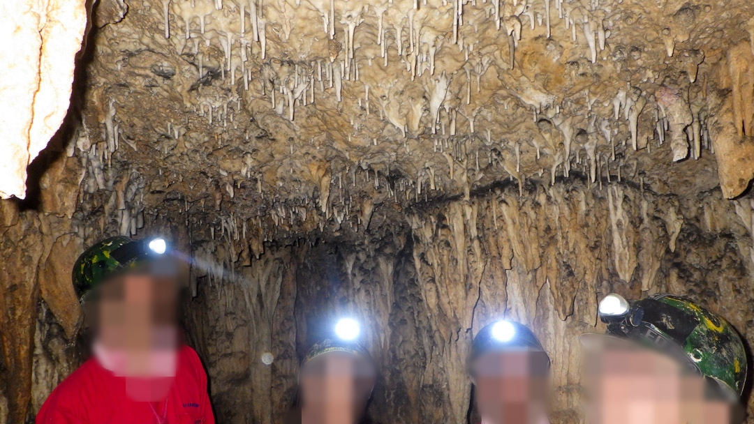 f:id:unyora-d:20200503221638j:plain f:id:unyora-d:20200503221638j:plain