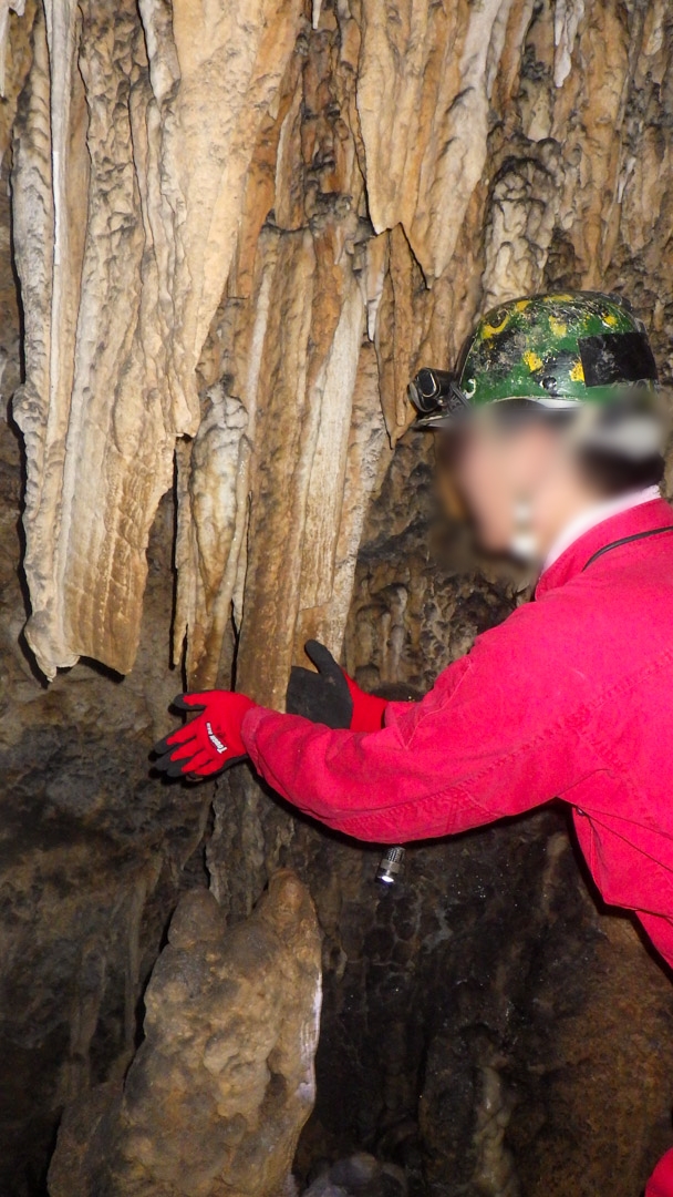 f:id:unyora-d:20200503221820j:plain f:id:unyora-d:20200503221820j:plain