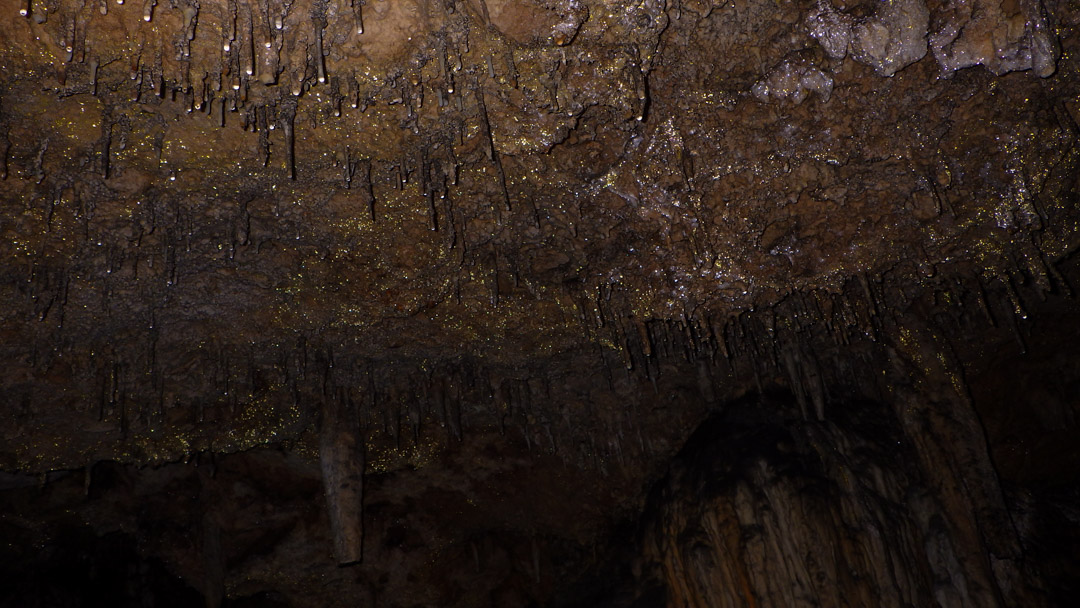 f:id:unyora-d:20200503222000j:plain f:id:unyora-d:20200503222000j:plain