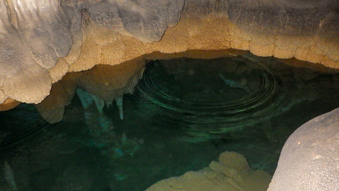 f:id:unyora-d:20200503222016j:plain f:id:unyora-d:20200503222016j:plain