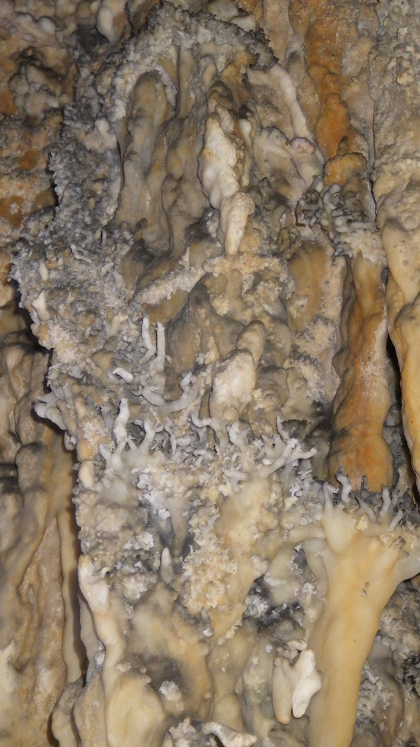 f:id:unyora-d:20200503223107j:plain f:id:unyora-d:20200503223107j:plain