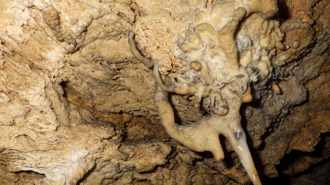 f:id:unyora-d:20200503223119j:plain f:id:unyora-d:20200503223119j:plain