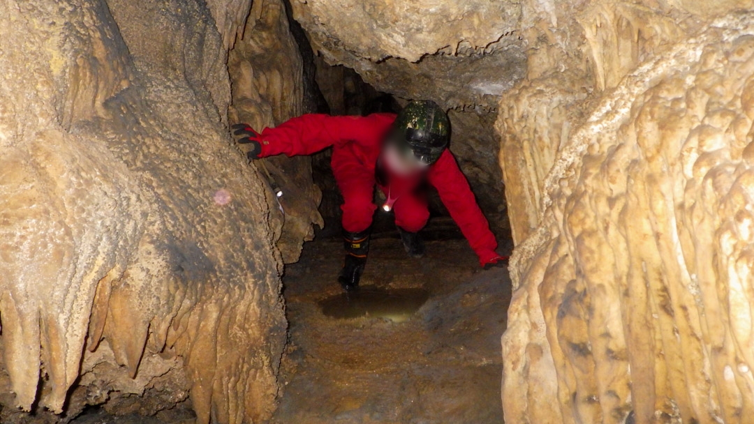 f:id:unyora-d:20200503223822j:plain f:id:unyora-d:20200503223822j:plain