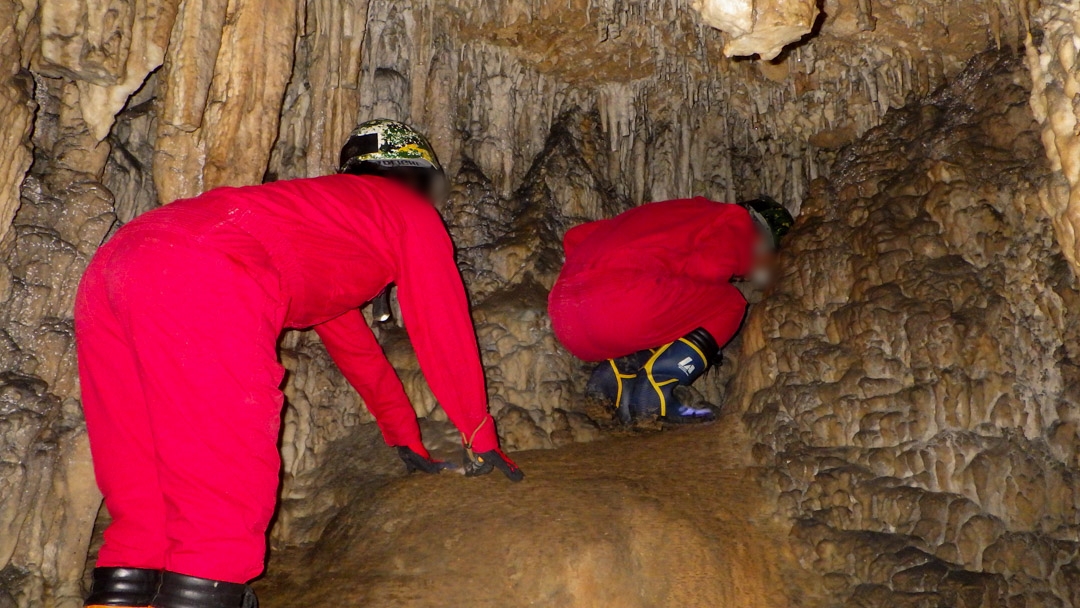 f:id:unyora-d:20200503224020j:plain f:id:unyora-d:20200503224020j:plain