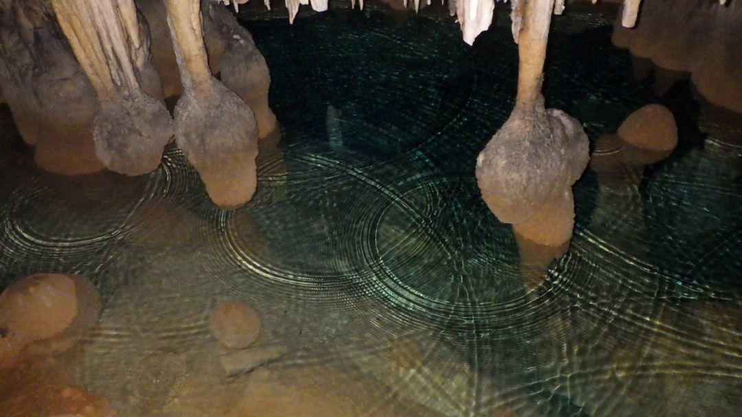 f:id:unyora-d:20200503224055j:plain f:id:unyora-d:20200503224055j:plain