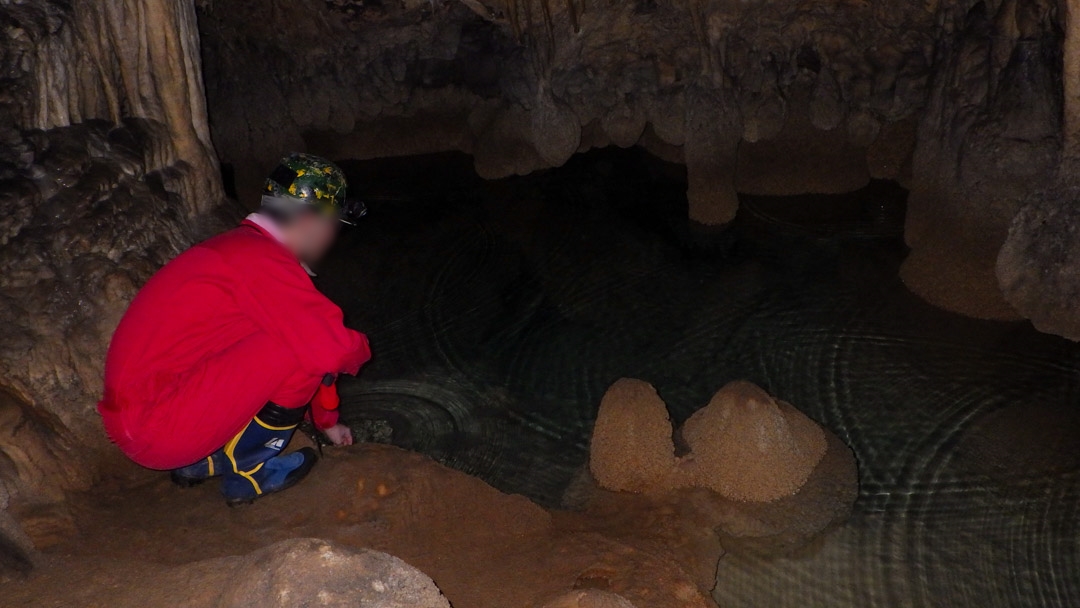 f:id:unyora-d:20200503224106j:plain f:id:unyora-d:20200503224106j:plain