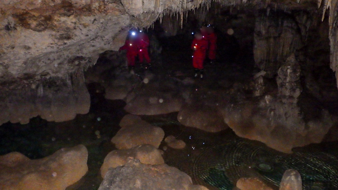 f:id:unyora-d:20200503224121j:plain f:id:unyora-d:20200503224121j:plain