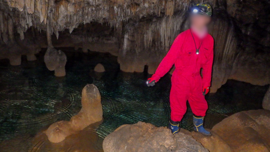 f:id:unyora-d:20200503224135j:plain f:id:unyora-d:20200503224135j:plain