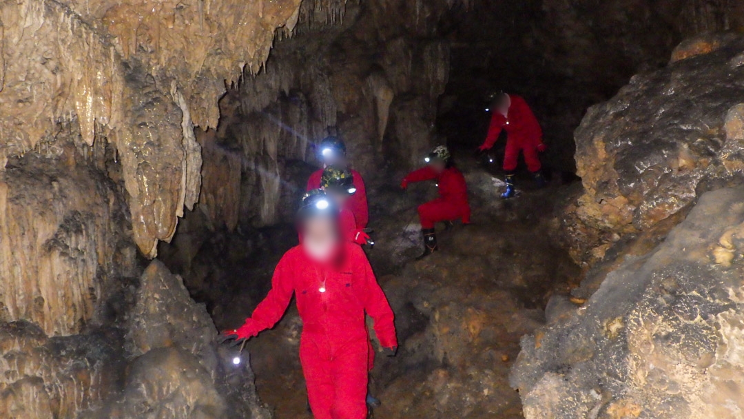 f:id:unyora-d:20200503224310j:plain f:id:unyora-d:20200503224310j:plain