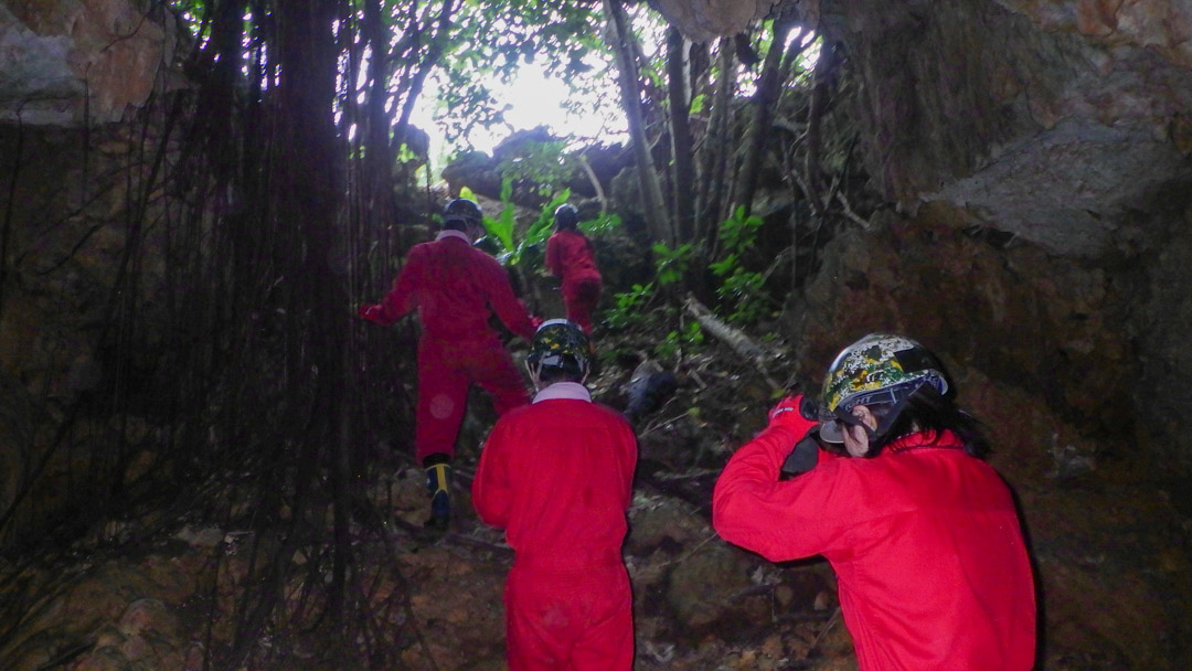 f:id:unyora-d:20200503224322j:plain f:id:unyora-d:20200503224322j:plain