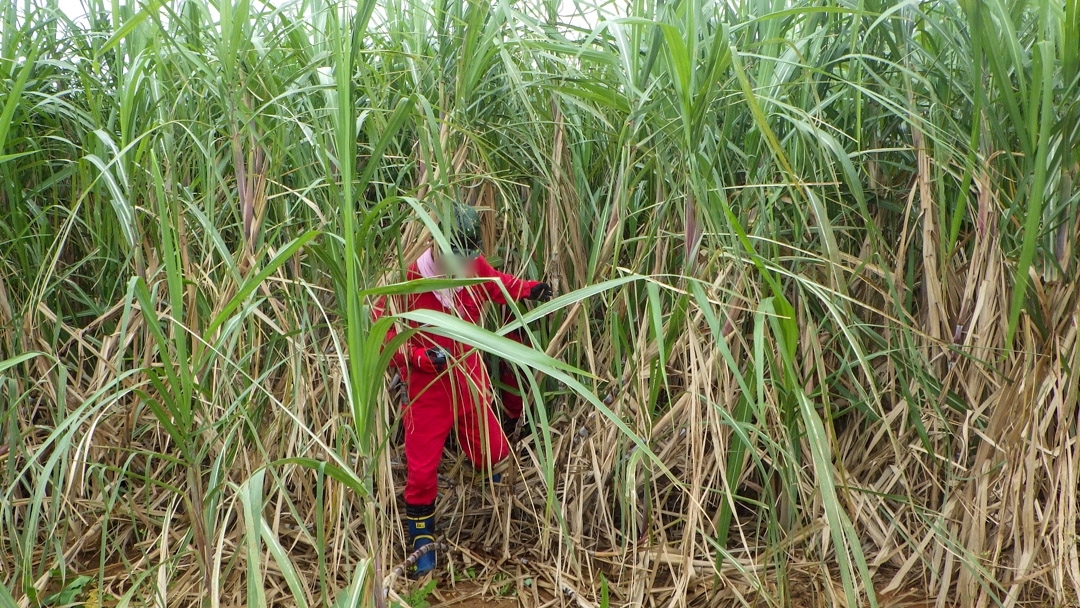 f:id:unyora-d:20200503224410j:plain f:id:unyora-d:20200503224410j:plain