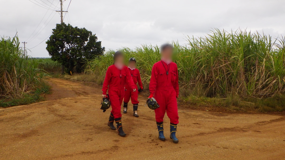 f:id:unyora-d:20200503224423j:plain f:id:unyora-d:20200503224423j:plain