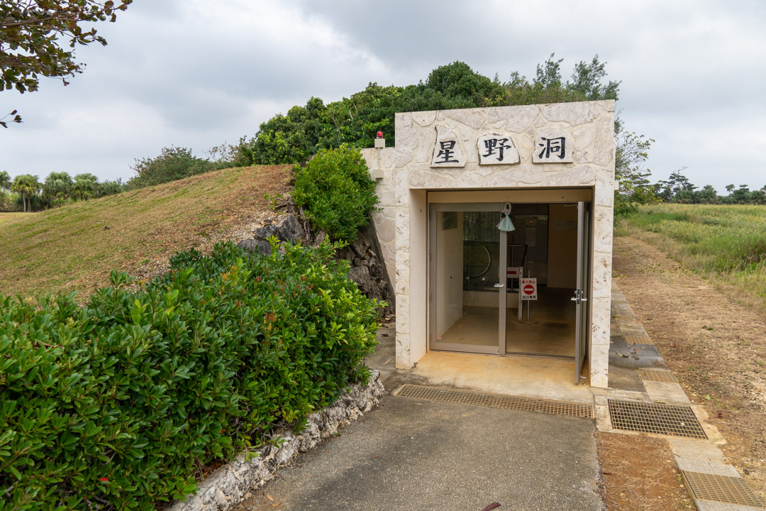 f:id:unyora-d:20200503224529j:plain f:id:unyora-d:20200503224529j:plain