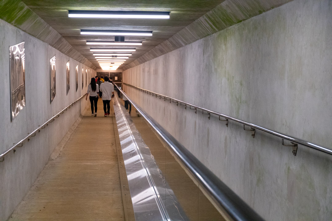 f:id:unyora-d:20200503224547j:plain f:id:unyora-d:20200503224547j:plain