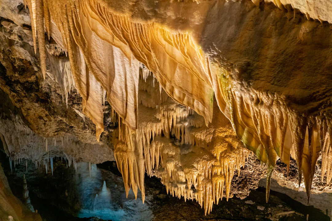 f:id:unyora-d:20200503224621j:plain f:id:unyora-d:20200503224621j:plain