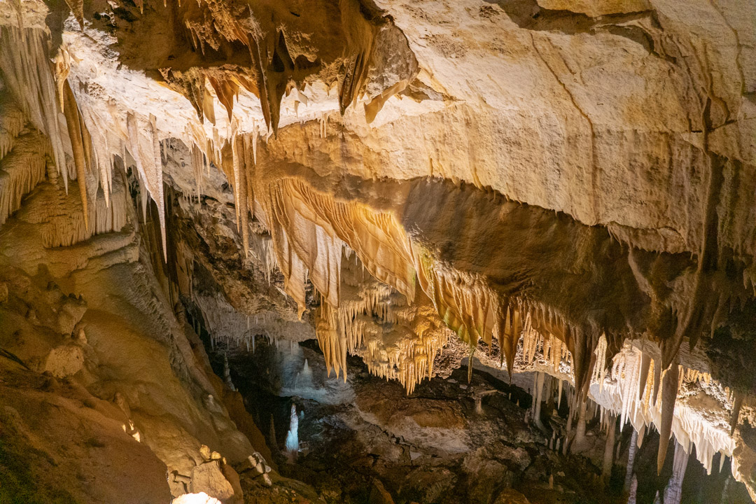 f:id:unyora-d:20200503224641j:plain f:id:unyora-d:20200503224641j:plain