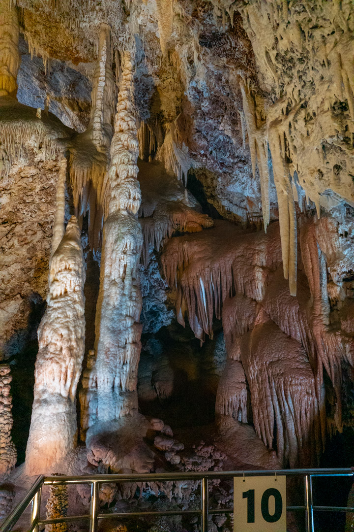 f:id:unyora-d:20200503225035j:plain f:id:unyora-d:20200503225035j:plain