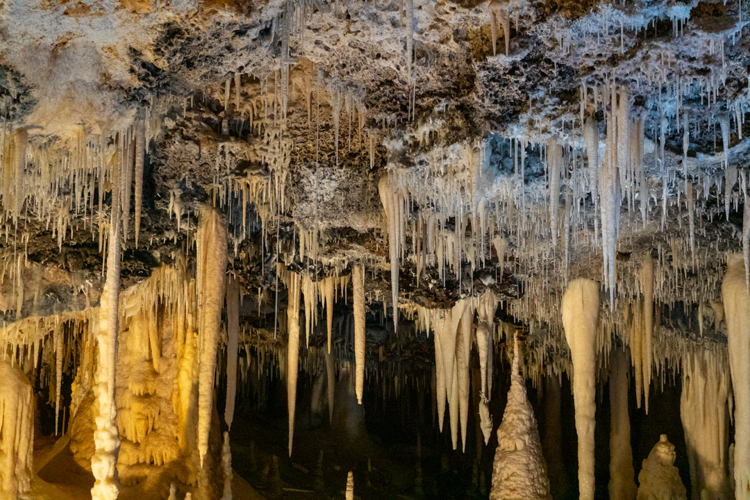 f:id:unyora-d:20200503225147j:plain f:id:unyora-d:20200503225147j:plain