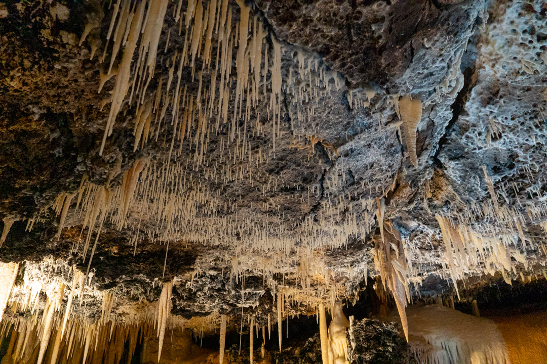 f:id:unyora-d:20200503225203j:plain f:id:unyora-d:20200503225203j:plain