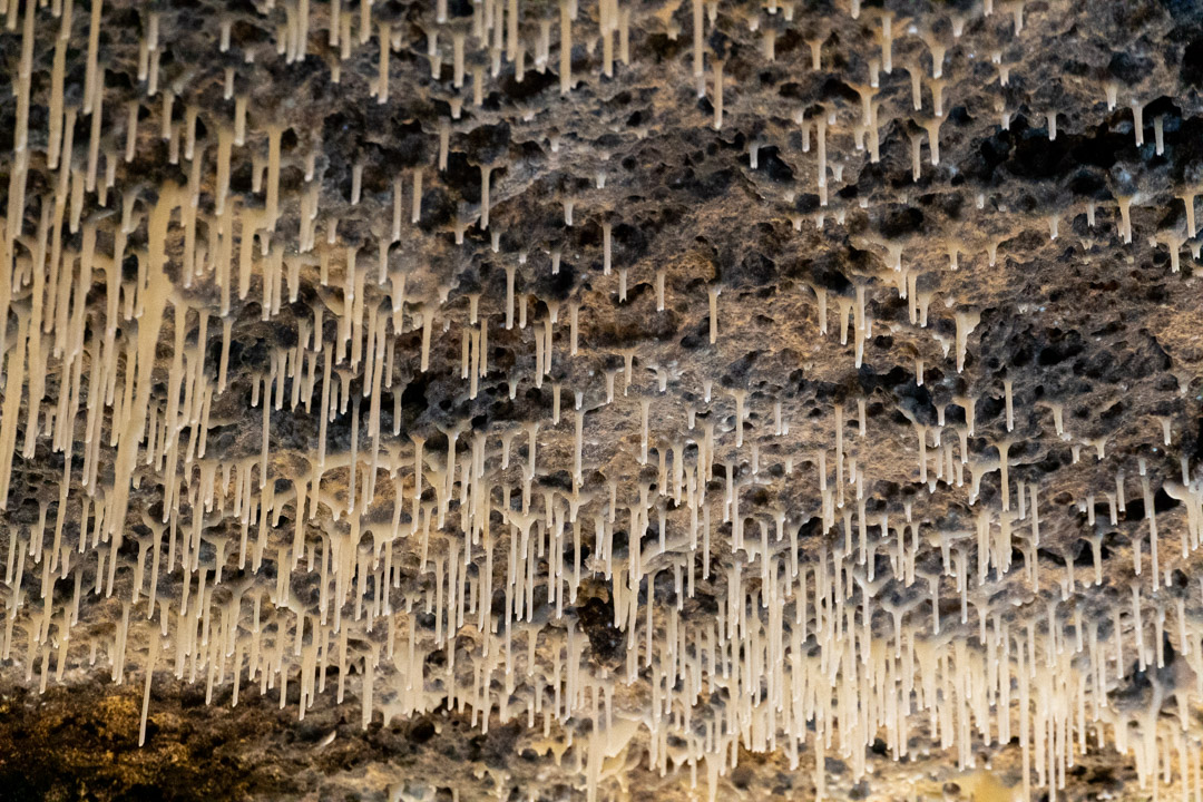 f:id:unyora-d:20200503225213j:plain f:id:unyora-d:20200503225213j:plain