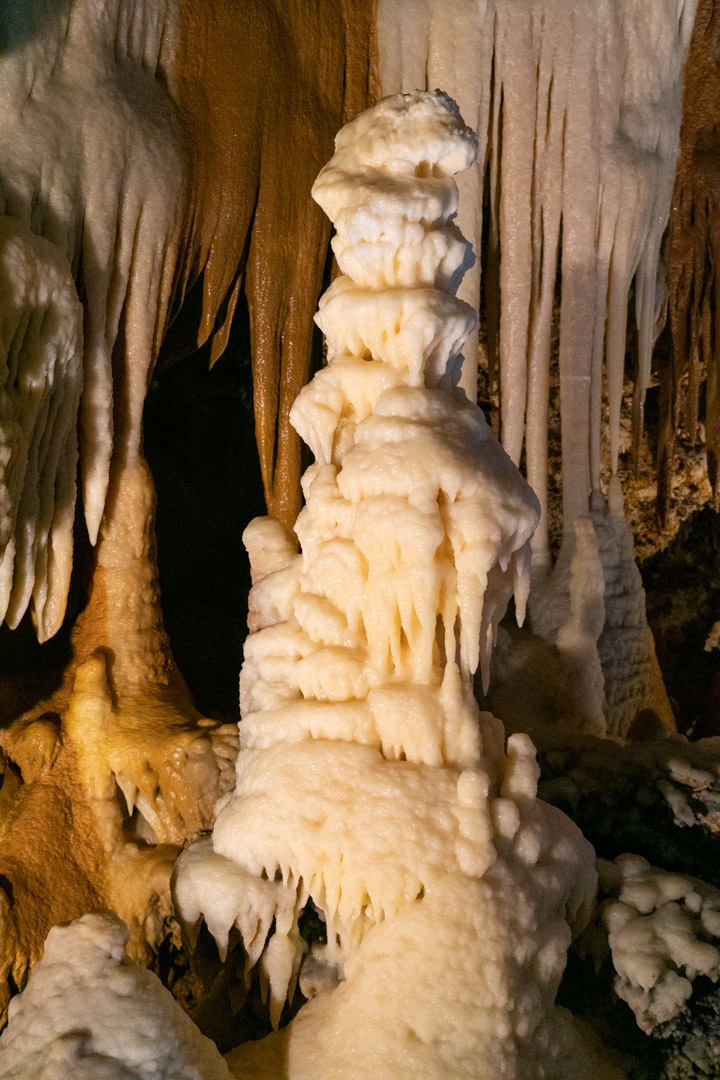 f:id:unyora-d:20200503225306j:plain f:id:unyora-d:20200503225306j:plain